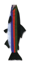 Clic para ampliar / Click for larger picture