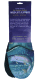 Clic para ampliar / Click for larger picture
